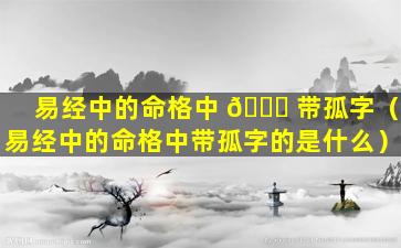 易经中的命格中 🐘 带孤字（易经中的命格中带孤字的是什么）